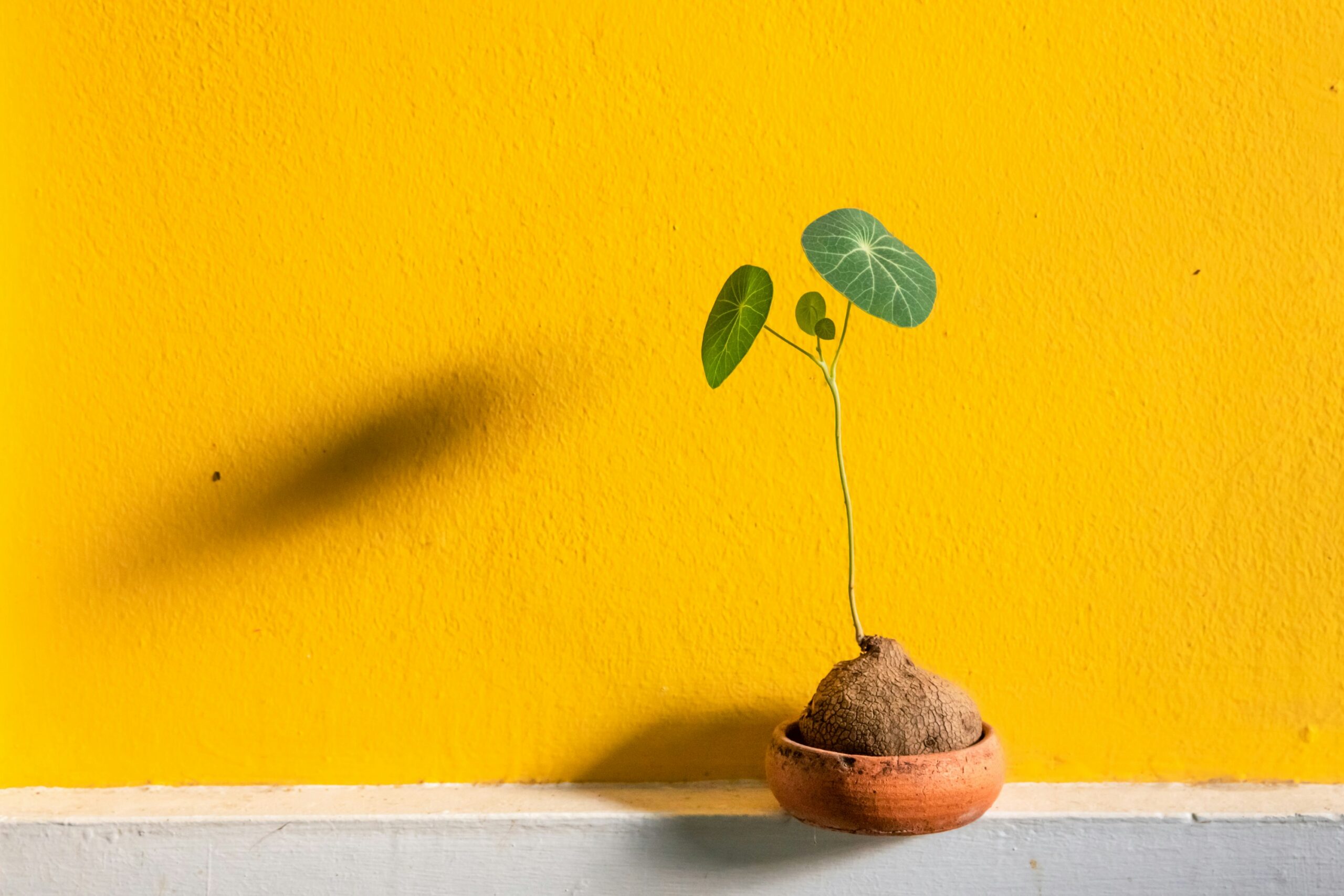 olivier-bergeron-R7DFujwXyzg-unsplash